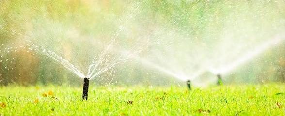 Close-up of sprinkler heads spraying water
